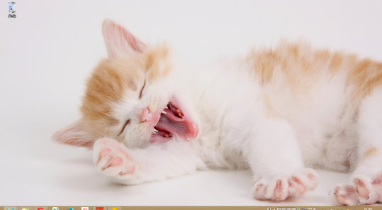 眠そうな子猫のテーマ、デスクトップの背景