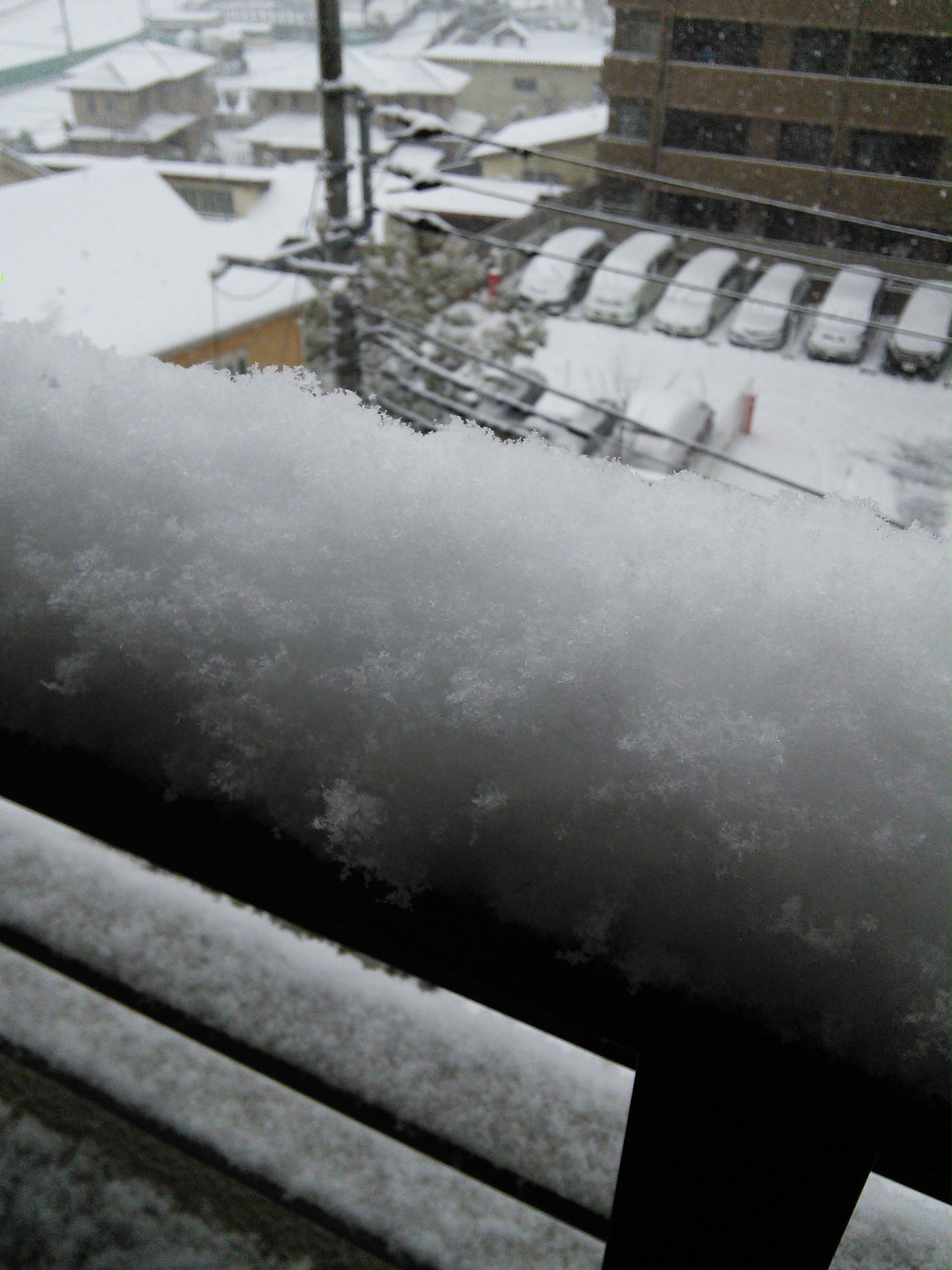 2014/02/08の積雪具合、ベランダの柵に積もった雪の写真