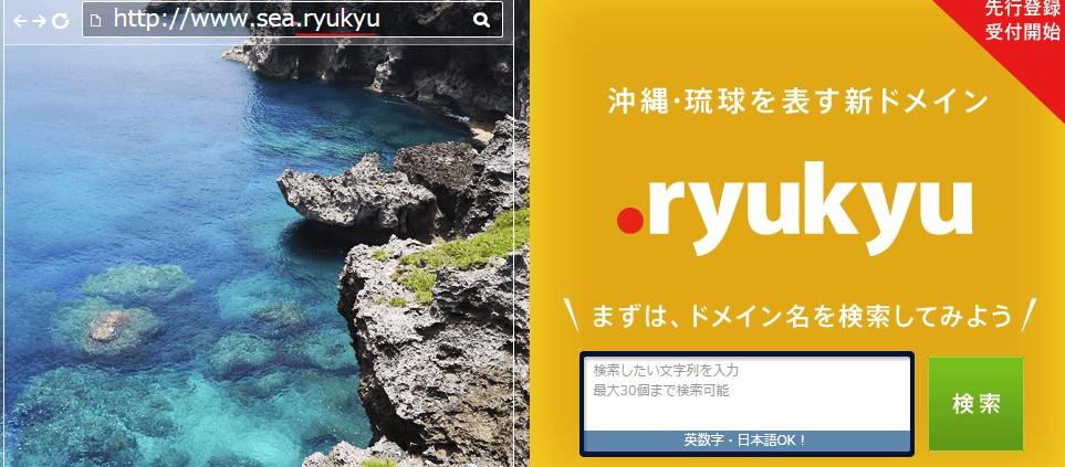 .ryukyuドメイン受付開始、お名前.com画像